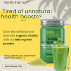 SuperFood - Concentrated Microgreen Powder - Freeze Dried