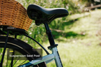 Aventon Pace 4 Step-Through E-bike