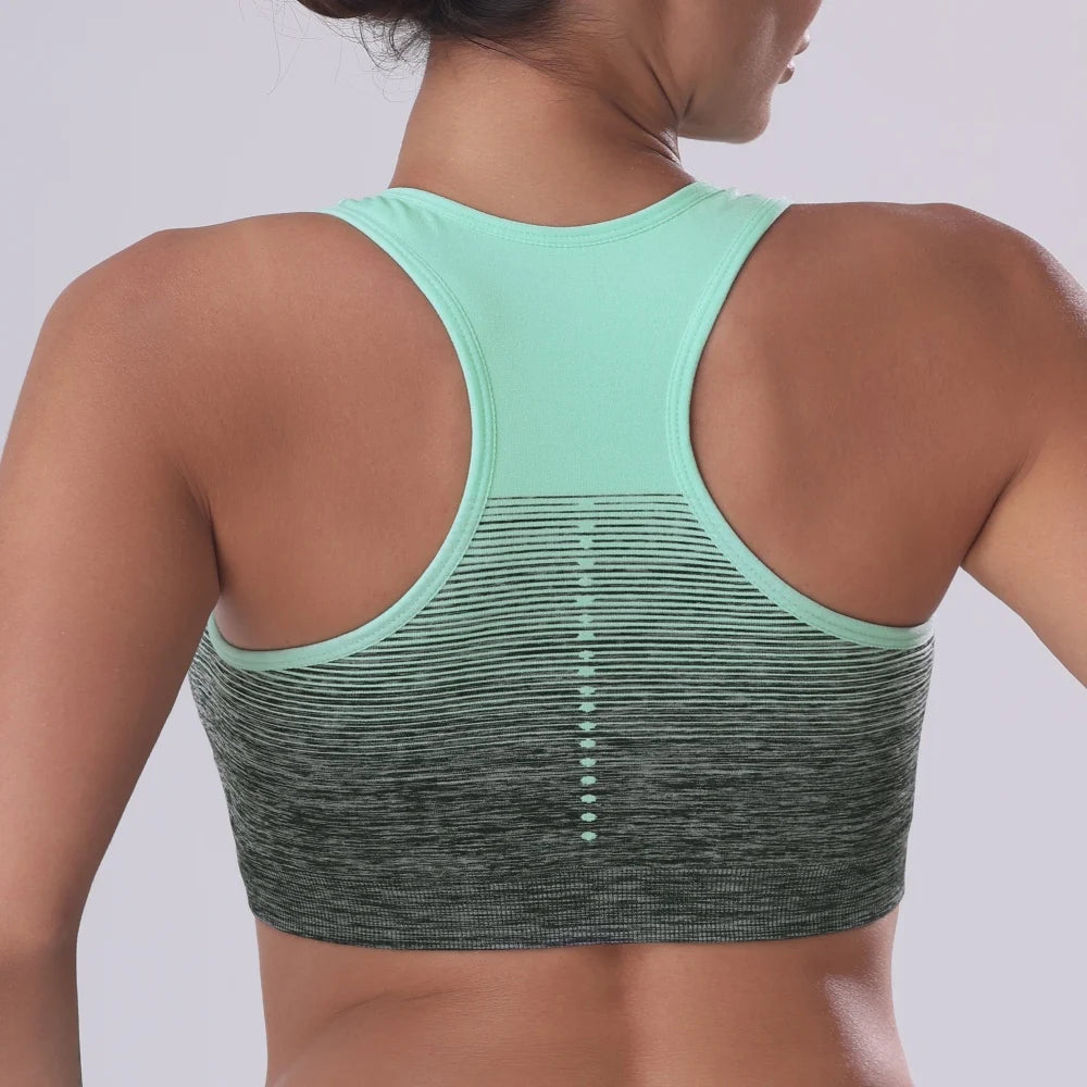 NLW Support Sports Bra