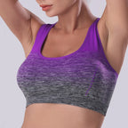 NLW Support Sports Bra