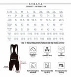 NLW Strava Cycling Jersey and Sponge Pants set