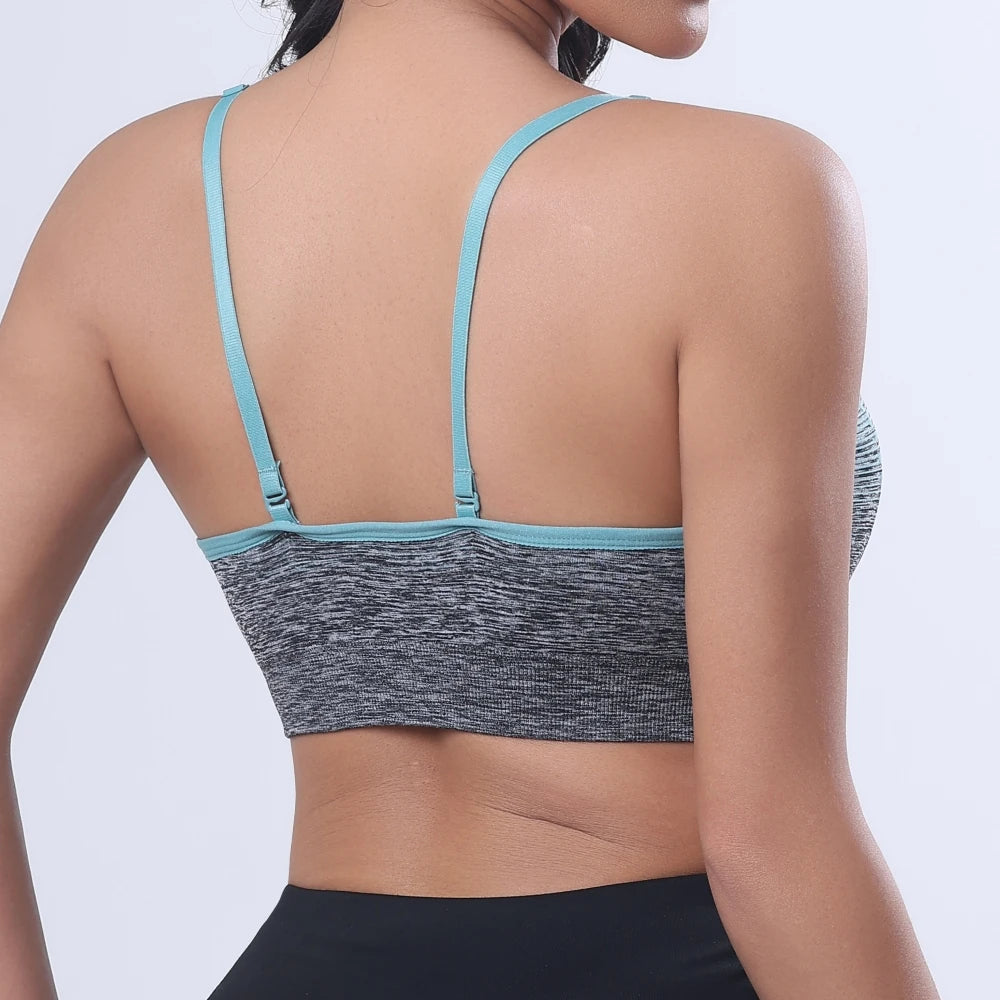 NLW Support Sports Bra