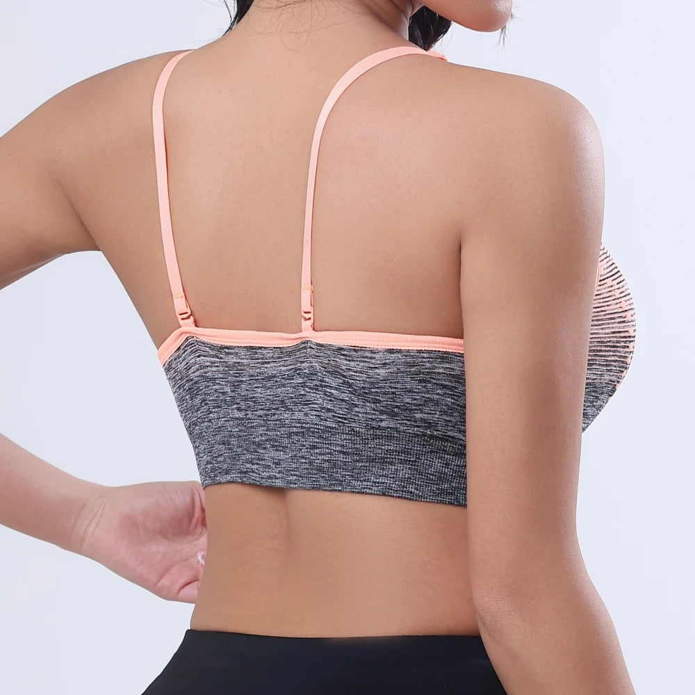 NLW Support Sports Bra