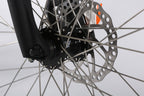 X-Treme Catalina Beach Cruiser - Electric Bicycle - 48 Volt - Step-Through Frame Long Range - Comfort Bike