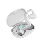 Bluetooth Smart Translation Earbuds