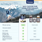 Shilajit Gummies 1000mg, Shilajit Gummies for Men and Women, Energy, Immunity